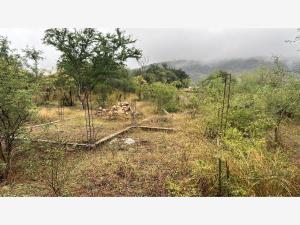Terreno en venta en Ejidal, Autlán de Navarro — foto 3 de 4