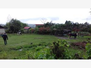 Terreno en venta en El Lencero, Emiliano Zapata — foto 2 de 2