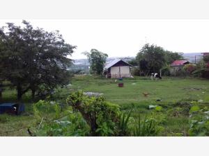 Terreno en venta en El Lencero, Emiliano Zapata — foto 2 de 2