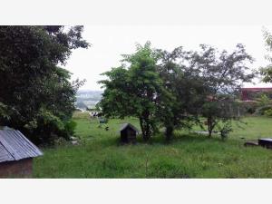 Terreno en venta en El Lencero, Emiliano Zapata — foto 2 de 3