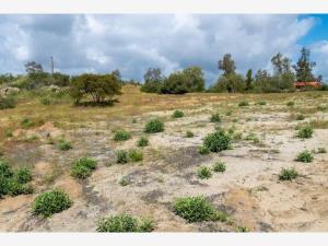 Terreno en venta en Banchetti, Tecate — foto 3 de 8