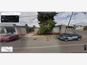 Terreno en renta en Unión Ejidal Tierra y Libertad, Tlaxco — foto 2 de 3