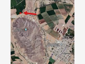 Terreno en venta en León Guzmán, Lerdo — foto 3 de 4