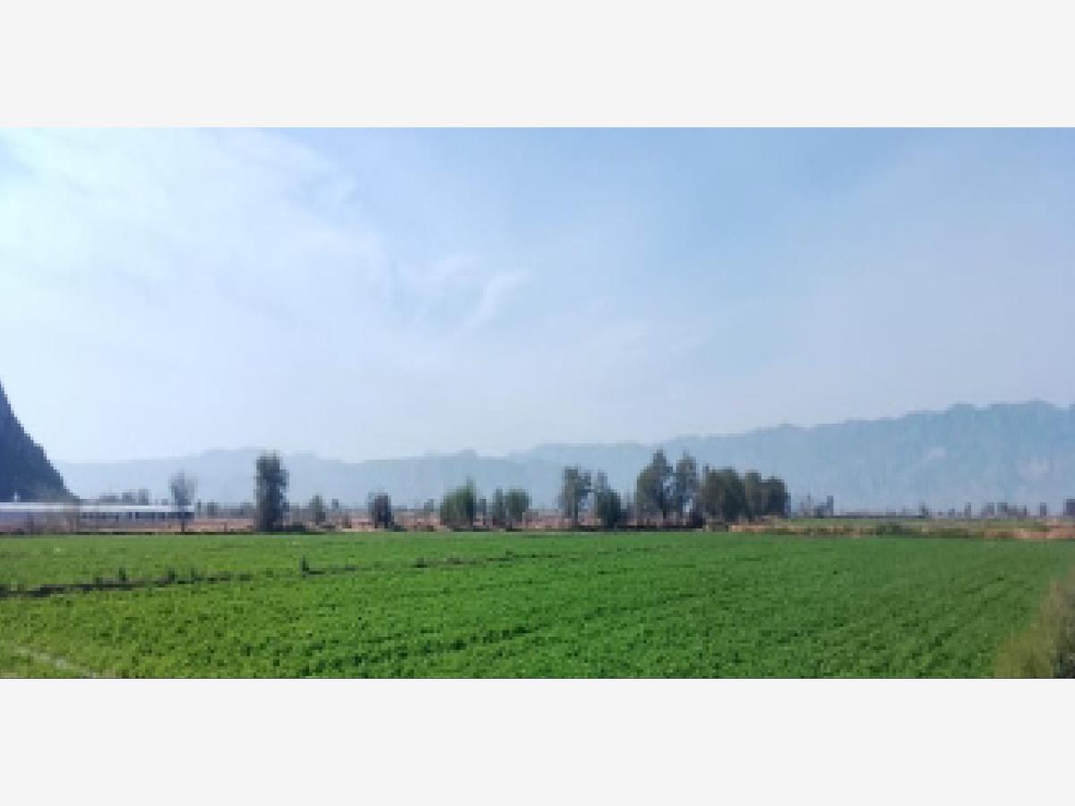 Terreno en venta en León Guzmán, Lerdo — foto 1 de 4