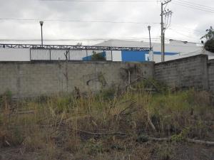 Terreno en venta en Industrial, Tuxtla Gutiérrez — foto 3 de 15