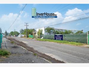 Terreno en renta en Bruno Pagliai, Veracruz — foto 2 de 12