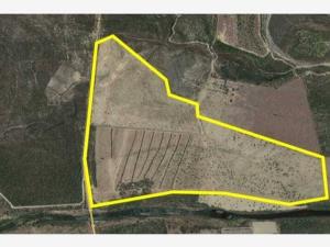 Terreno en venta en Centro de Pesquería, Pesquería — foto 3 de 4
