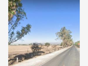 Terreno en venta en El Maguey, Jesús María — foto 3 de 6