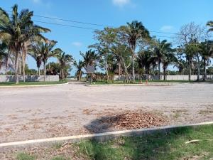 Terreno en venta en Paso del Toro, Medellín de Bravo — foto 2 de 11