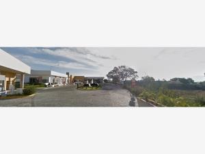 Casa en venta en Foresta Santa Anita, Tlajomulco de Zúñiga — foto 3 de 5
