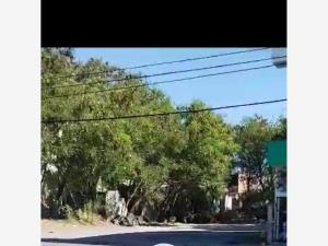 Terreno en venta en Narciso Mendoza, Reynosa — foto 3 de 5