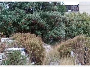 Terreno en venta en Industrial Alce Blanco, Naucalpan de Juárez — foto 3 de 4