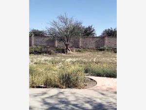 Terreno en venta en Altozano la Nueva Laguna, Gómez Palacio — foto 2 de 3