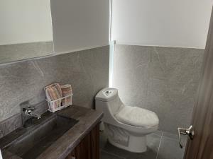 Casa en venta en San Bernardino Tlaxcalancingo, San Andrés Cholula — foto 2 de 21