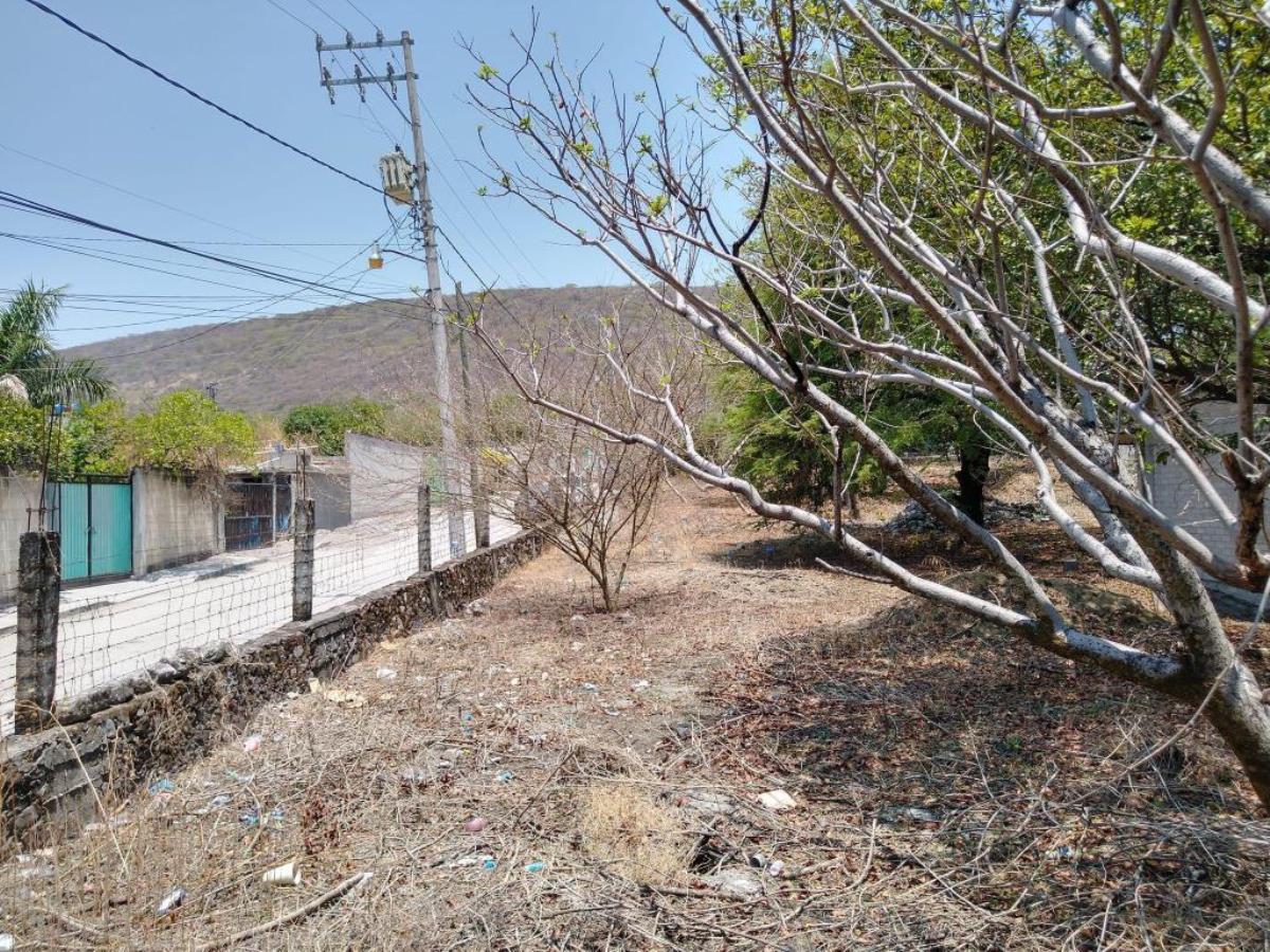 Terreno en venta en Vicente Guerrero, Zacatepec — foto 1 de 4