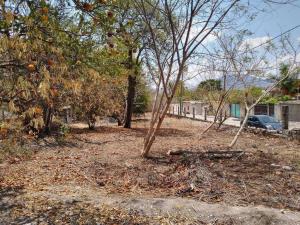 Terreno en venta en Vicente Guerrero, Zacatepec — foto 2 de 4
