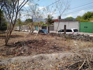 Terreno en venta en Vicente Guerrero, Zacatepec — foto 3 de 4