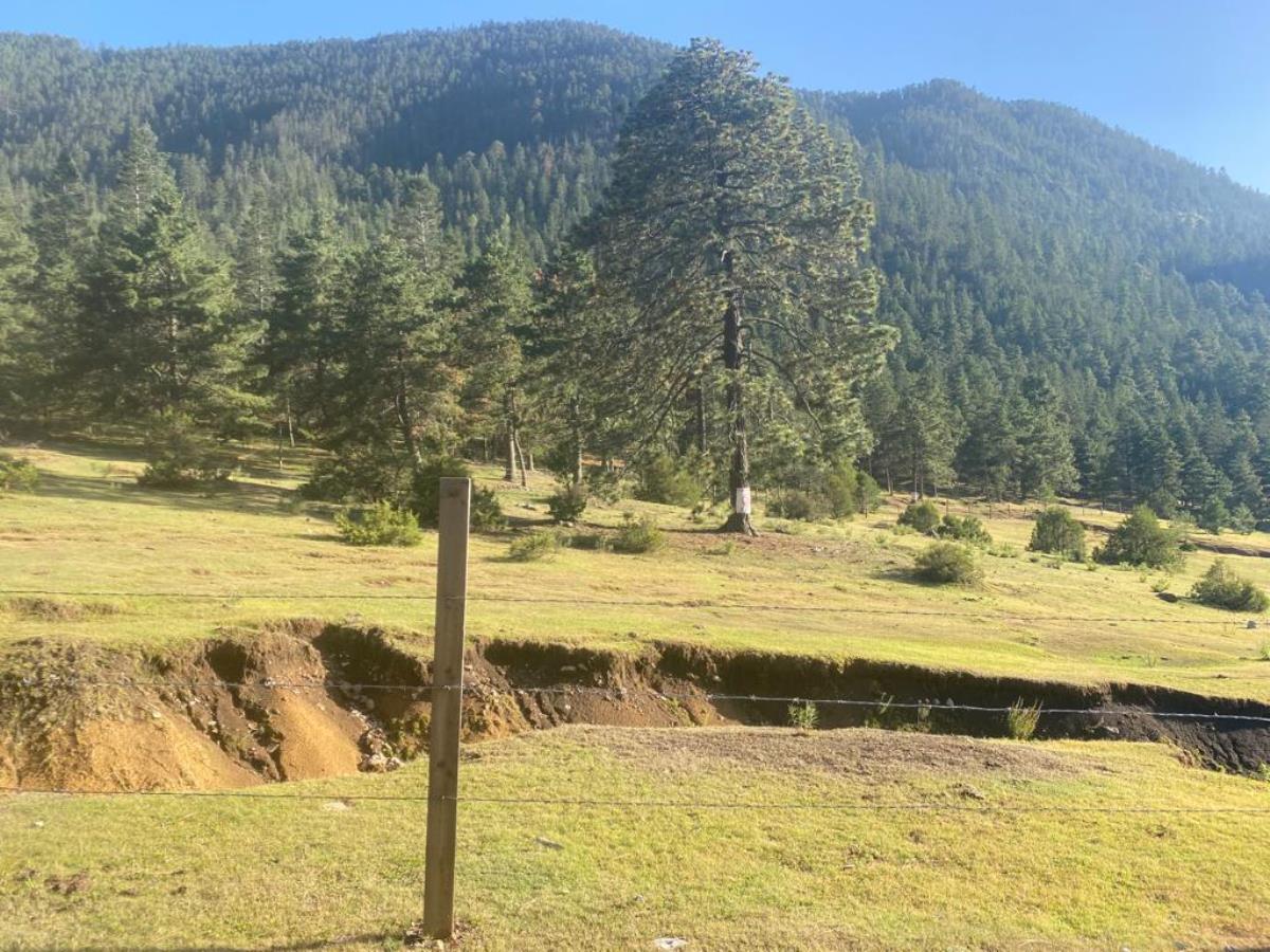 Terreno en venta en San Juan de los Dolores, Arteaga — foto 1 de 7