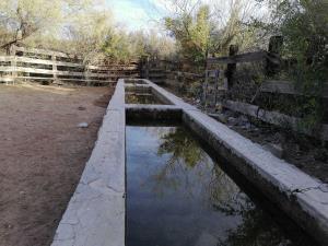 Terreno en venta en Mapimí, Mapimí — foto 2 de 12