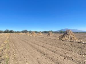 Terreno en venta en San Francisco Ocotlán (Ocotlán), Coronango — foto 3 de 7