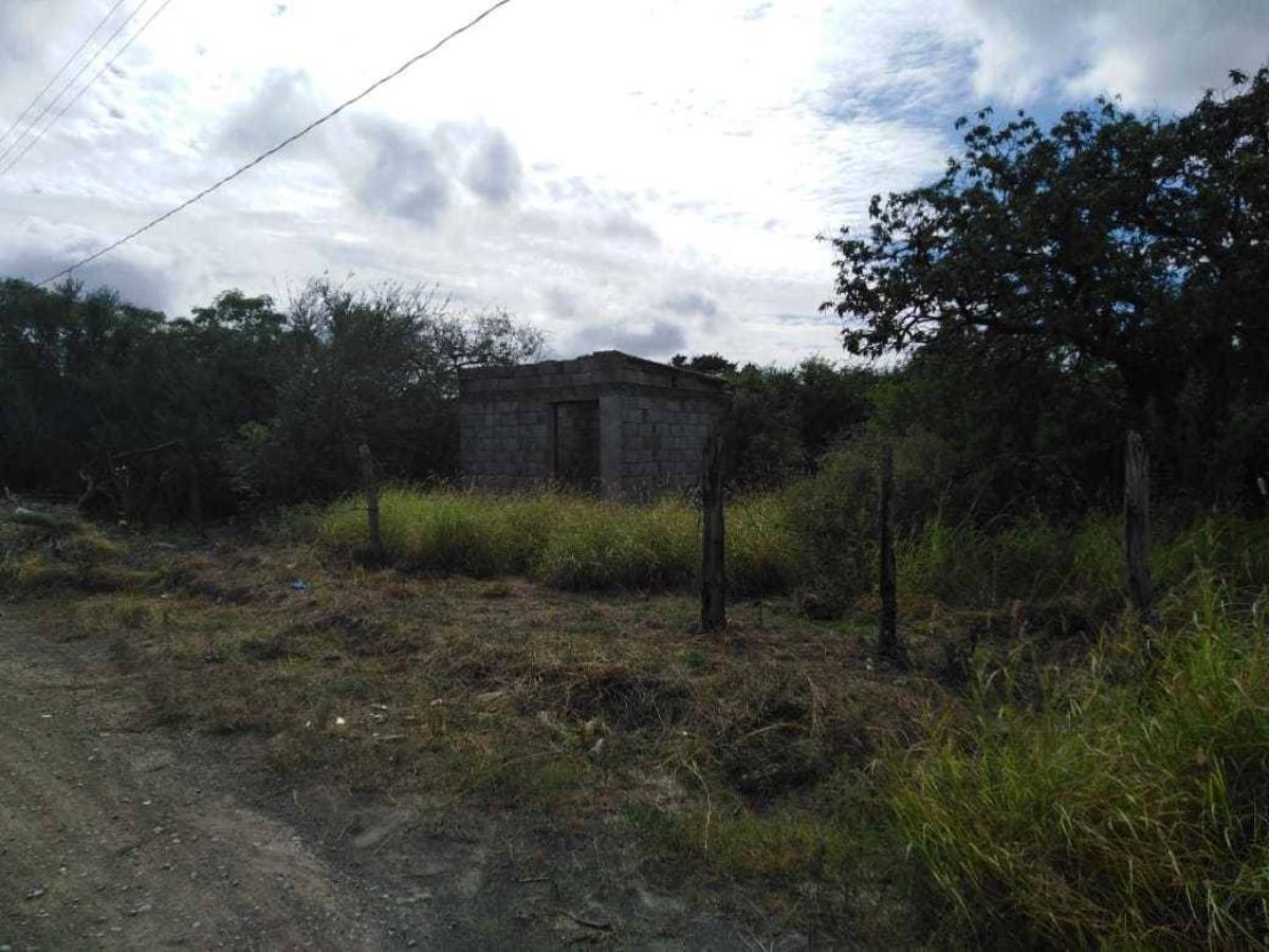 Terreno en venta en Las Palomitas (la Fragua), Cadereyta Jiménez — foto 1 de 8