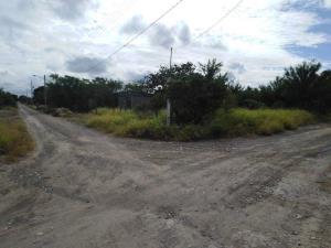 Terreno en venta en Las Palomitas (la Fragua), Cadereyta Jiménez — foto 2 de 8