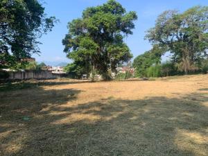 Terreno en venta en El Porvenir, Coatepec — foto 2 de 18
