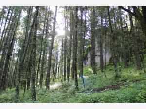 Terreno en venta en Mineral del Monte Centro, Mineral del Monte — foto 3 de 10