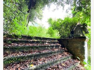 Terreno en venta en Rancho Cortes, Cuernavaca — foto 3 de 10
