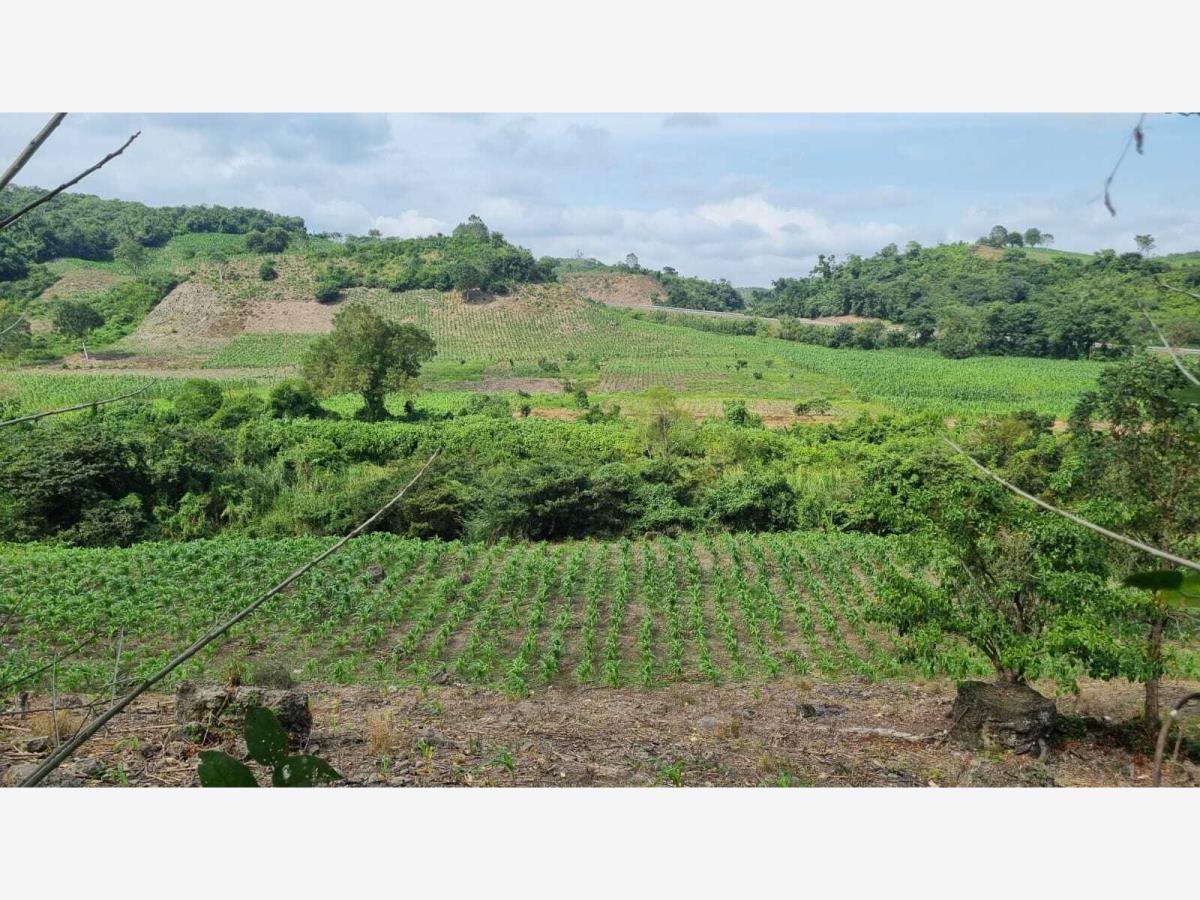 Terreno en venta en Santa Águeda, Papantla — foto 1 de 17