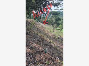 Terreno en venta en Santa Águeda, Papantla — foto 2 de 17