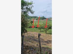 Terreno en venta en Santa Águeda, Papantla — foto 3 de 17