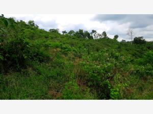 Terreno en venta en Tres Cruces, Papantla — foto 2 de 3