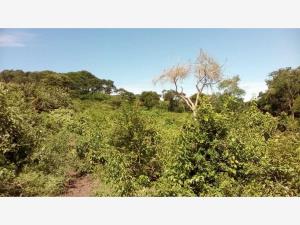Terreno en venta en Tres Cruces, Papantla — foto 3 de 3