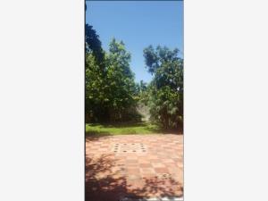 Casa en venta en El Refugio, Tala — foto 3 de 9