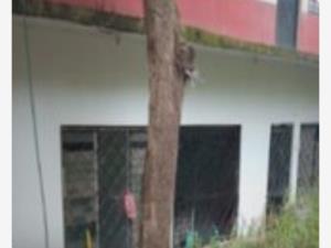 Departamento en venta en Los Olvidados, Palenque — foto 3 de 3
