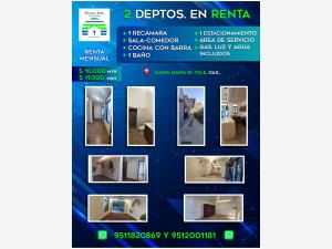 Departamento en renta en Santa María del Tule Centro, Santa María del Tule — foto 2 de 16