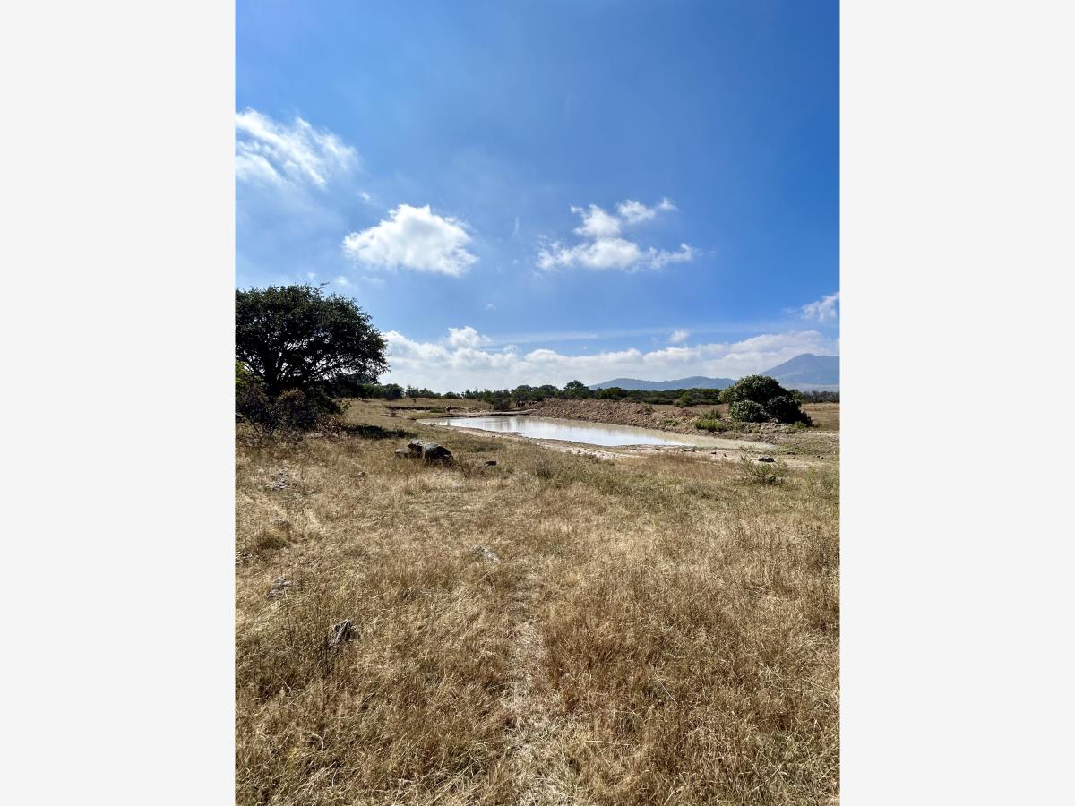 Terreno en venta en Los Cabrera, Huimilpan — foto 1 de 15