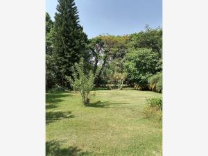 Quinta en renta en Rafael Merino (San Antonio), Ayala — foto 2 de 21