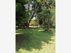 Quinta en renta en Rafael Merino (San Antonio), Ayala — foto 3 de 21