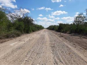 Terreno en venta en Reynosa, Reynosa — foto 3 de 4