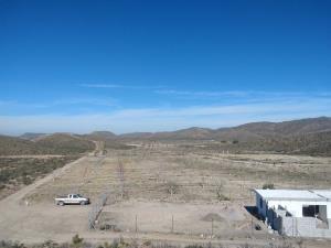 Terreno en venta en Parras, Parras — foto 3 de 27