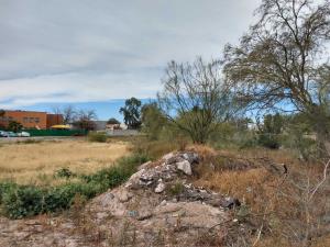 Terreno en renta en Residencial las Isabeles, Torreón — foto 3 de 9