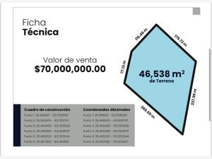 Terreno en venta en Parque Industrial Ferropuerto, Torreón — foto 3 de 5