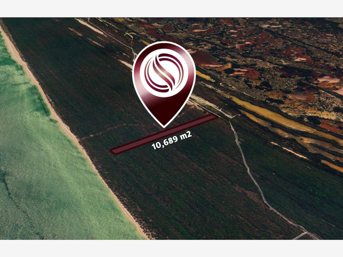 Terreno en venta en Celestun, Celestún — foto 1 de 18