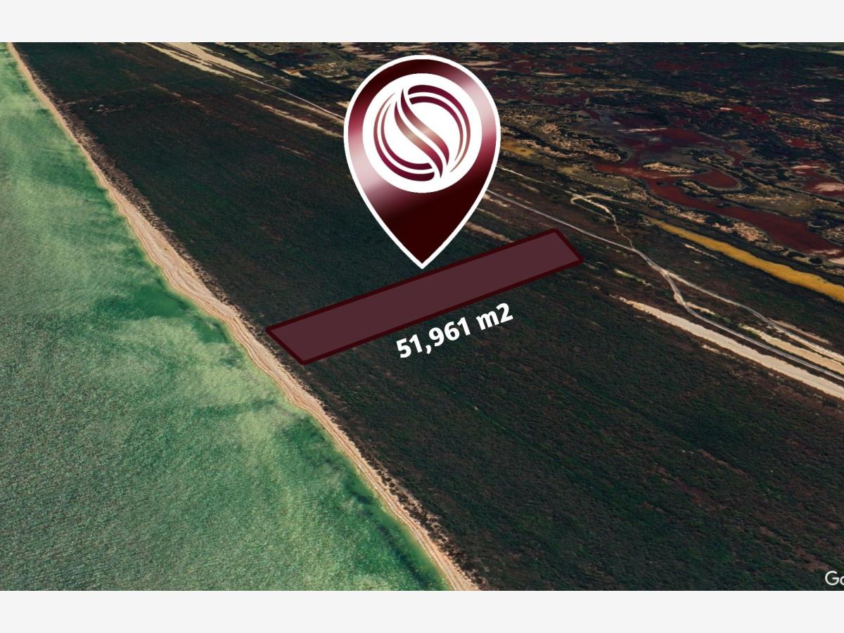 Terreno en venta en Celestun, Celestún — foto 1 de 19
