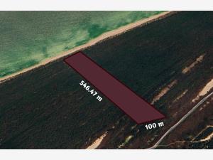 Terreno en venta en Celestun, Celestún — foto 3 de 19