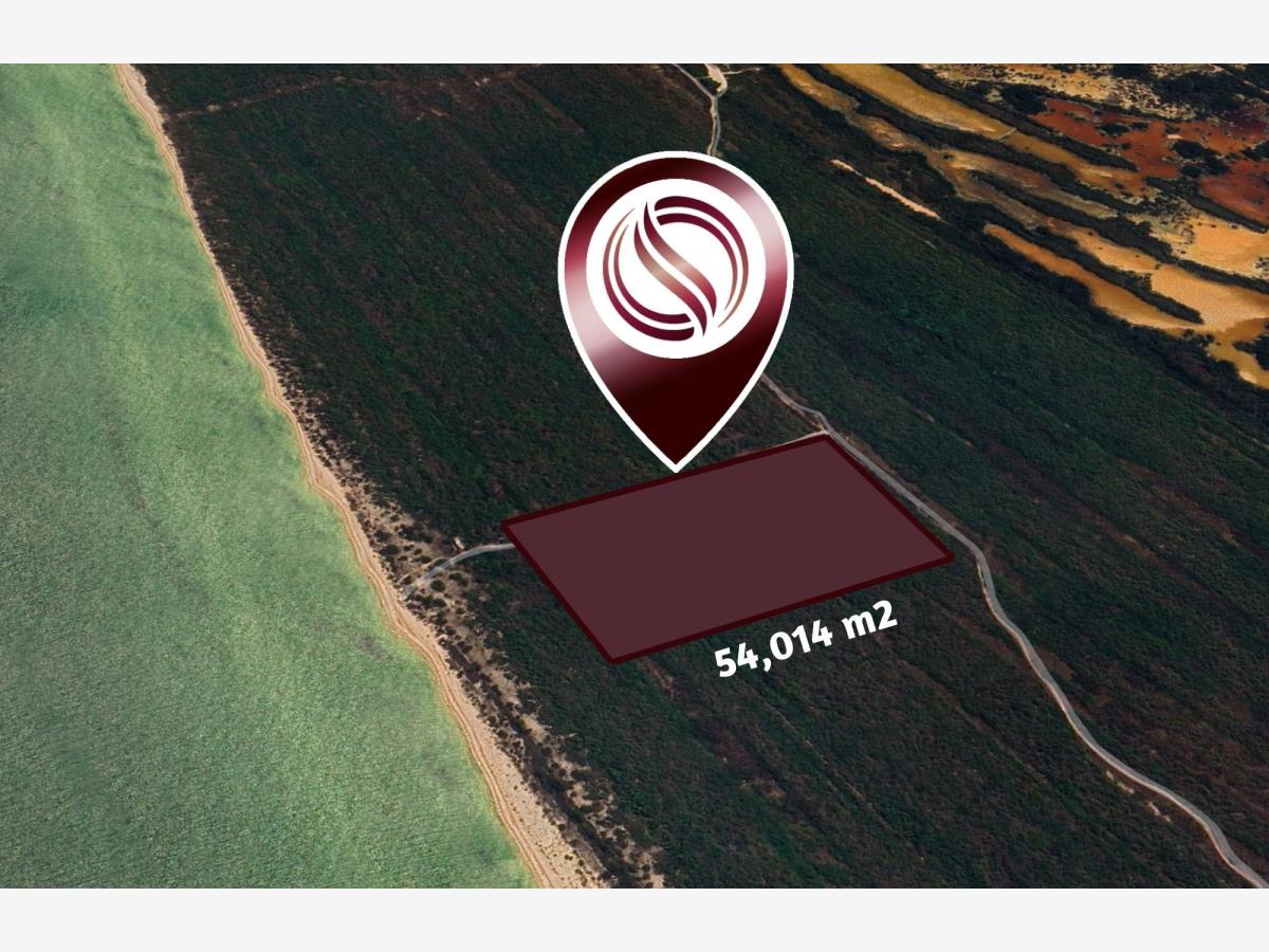Terreno en venta en Celestun, Celestún — foto 1 de 18