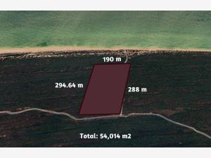 Terreno en venta en Celestun, Celestún — foto 2 de 18