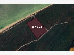 Terreno en venta en Celestun, Celestún — foto 3 de 18